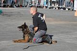 CHIEN D'INTERVENTION 074